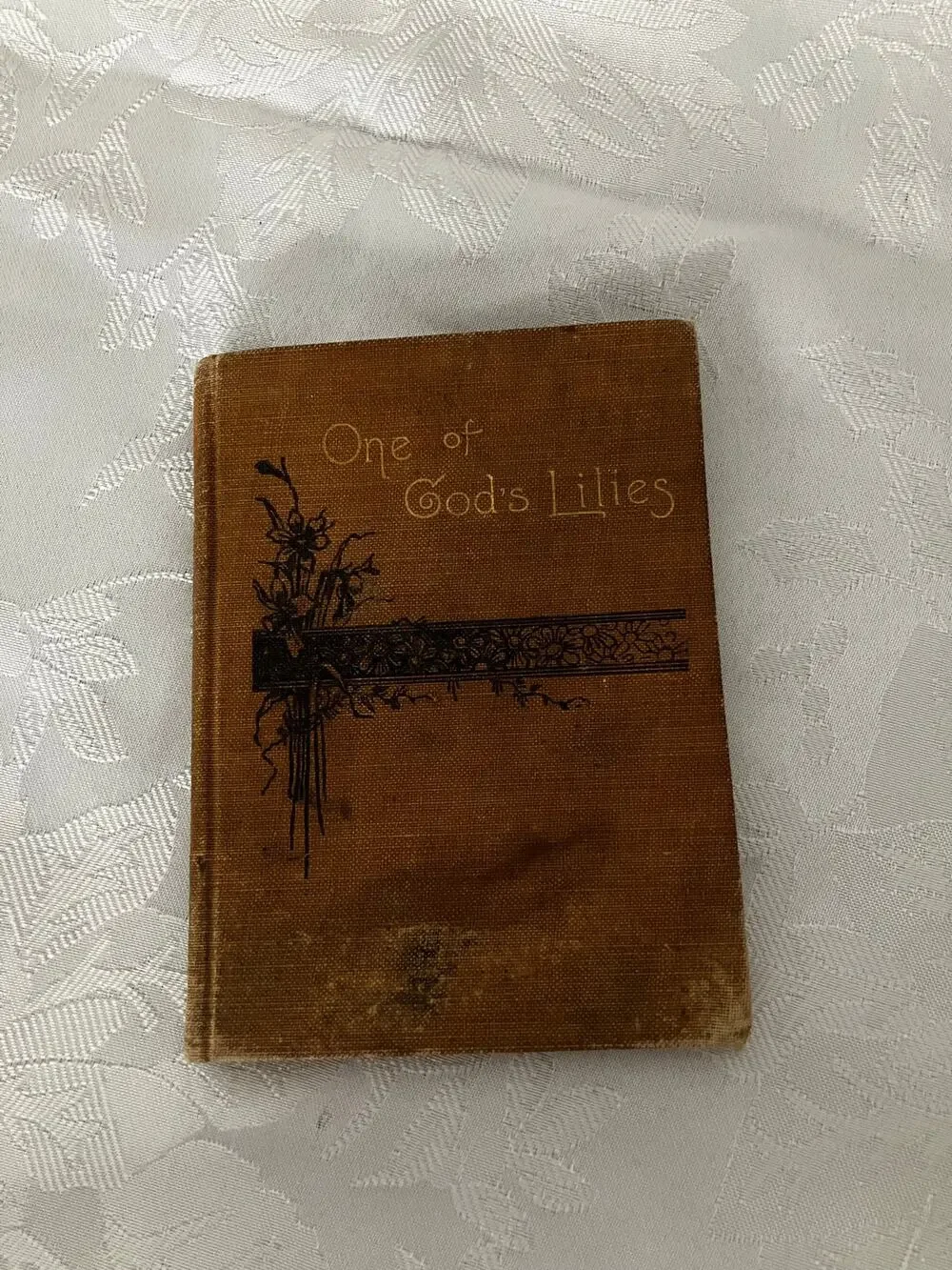 1903 One of God's Lilies Lelia H Waterhouse Antique Christian Witness Book